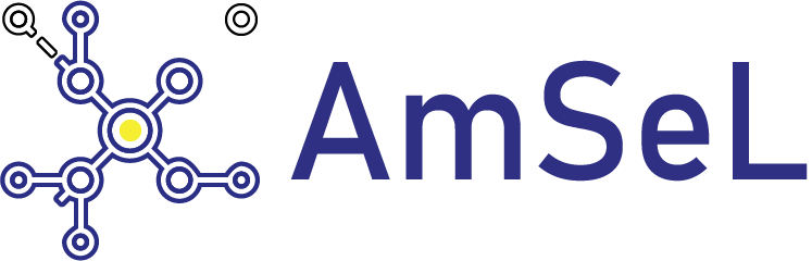 Project AmSeL